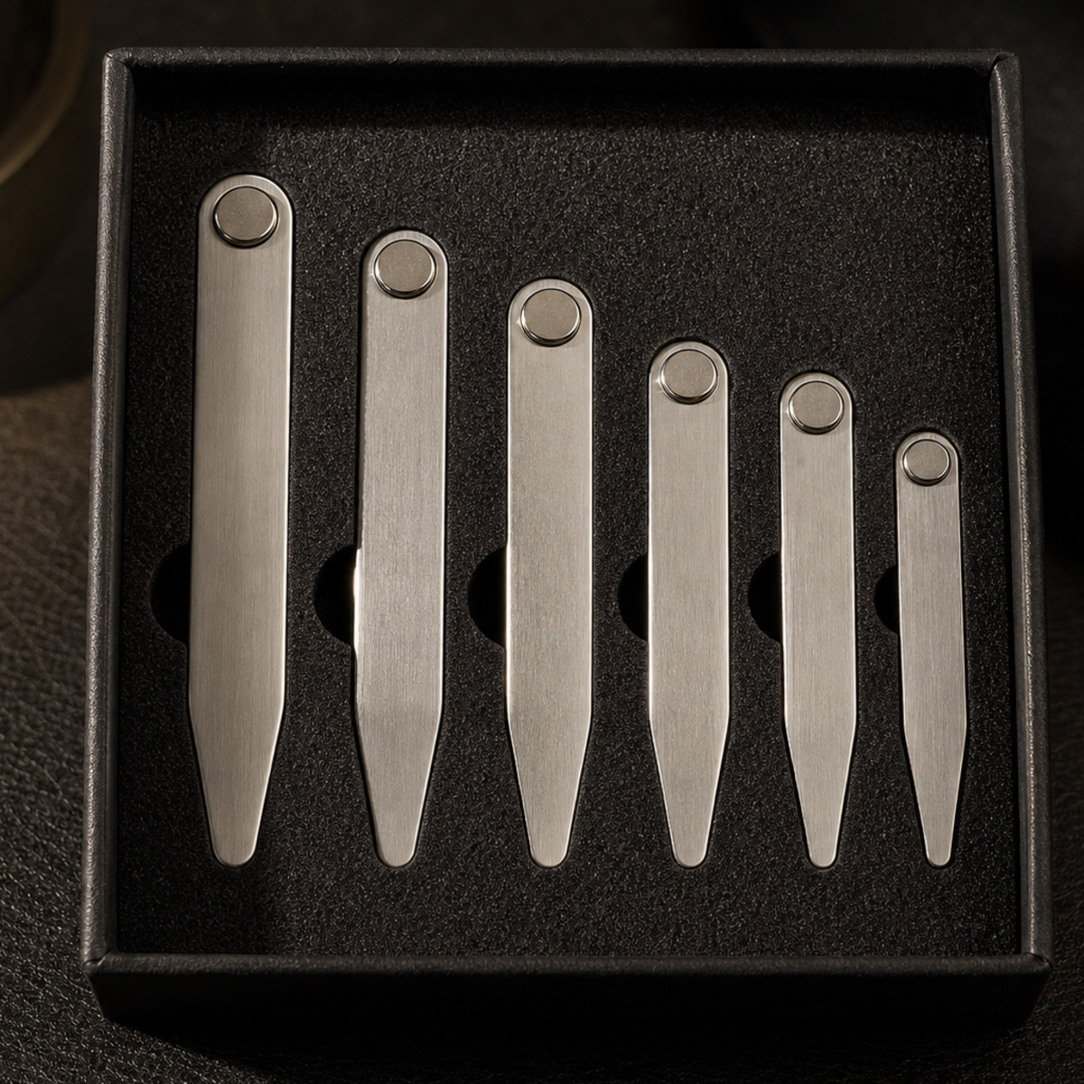 The Fastening — Collar Stay Set